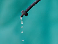 Drip Irrigation