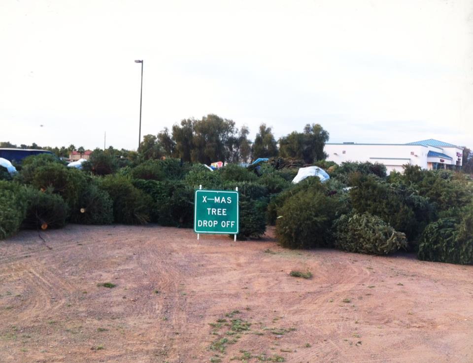 Holiday Tree Drop-Off