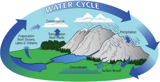 water cycle