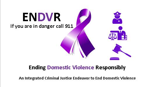 ENDVR graphic