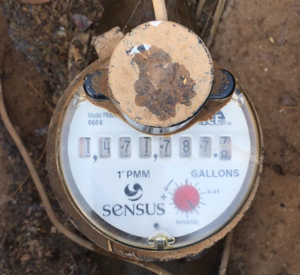 Sensus Meter