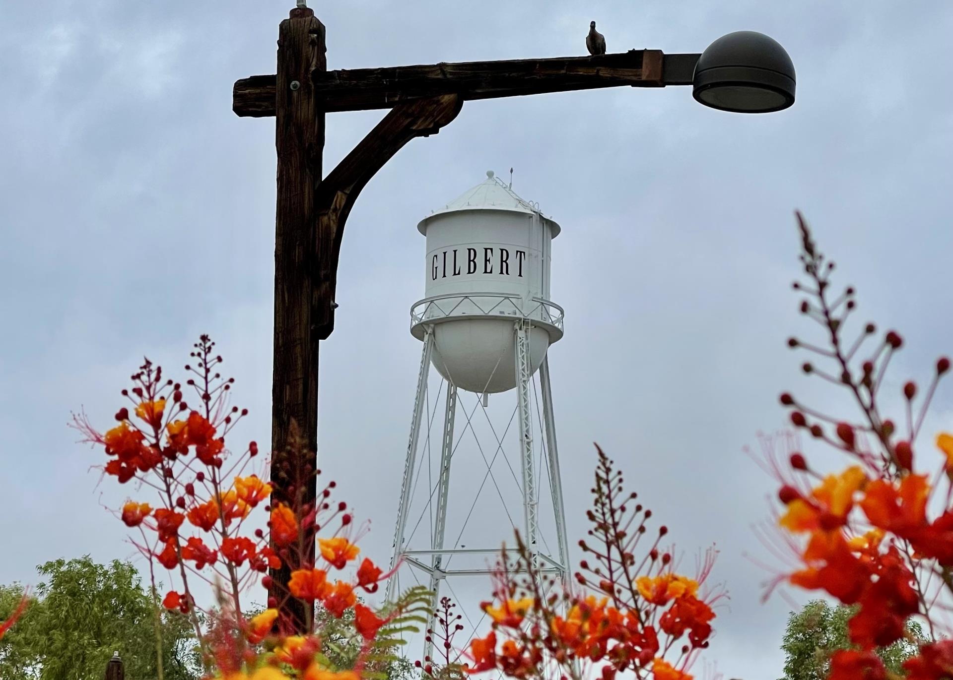 Water Tower Horizontal