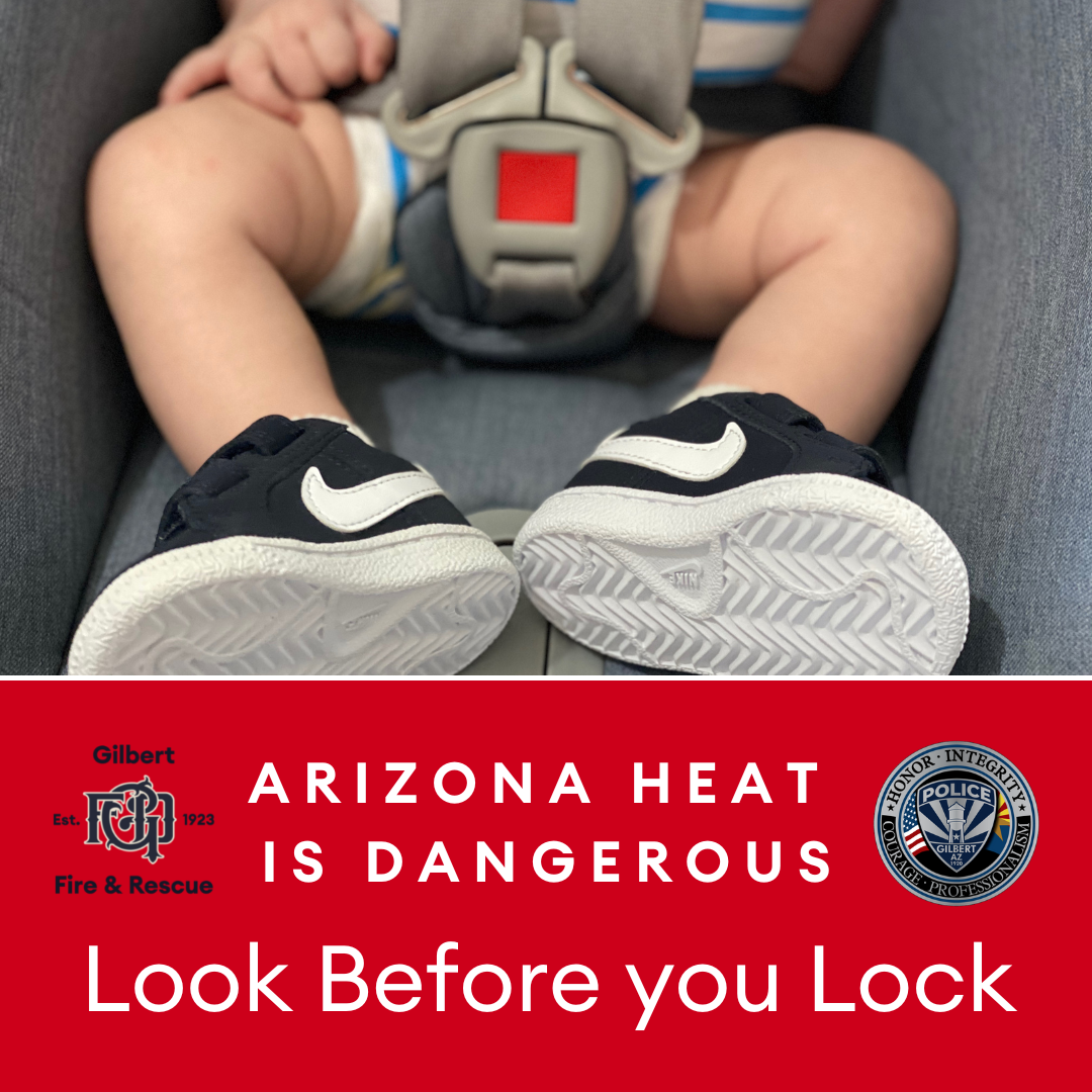 Arizona heat safety post - look before you lock