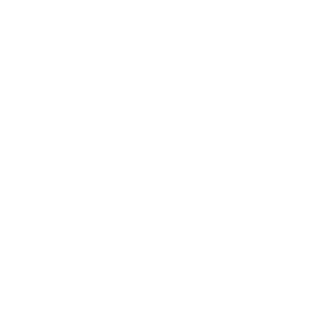 An icon of a dollar sign