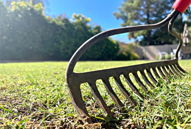 A close-up photo of a rake in a residential backyard. Non-motorized cleanup of yard waste helps eliminate air pollution. 