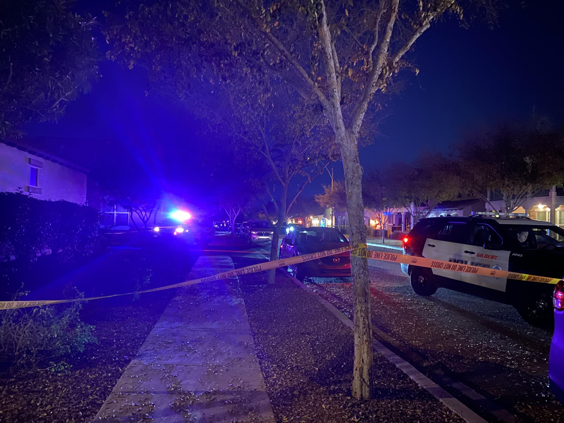 Photo of police cars in the distance at night