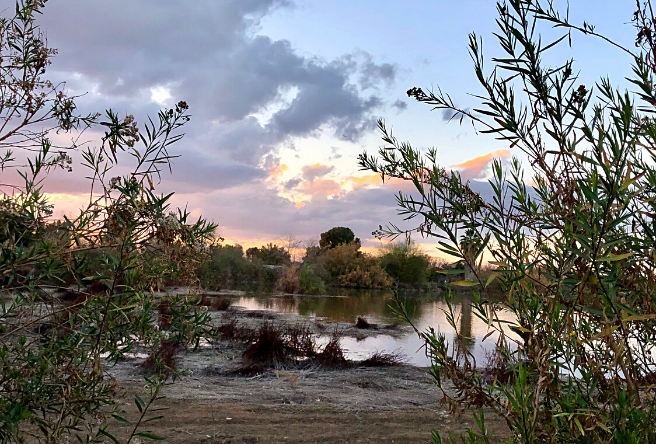 A photo of Gilbert's Riparian Preserve at sunset.