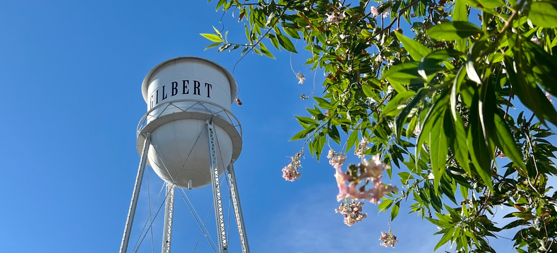 Gilbert's iconic water tower against a blue sky with a flowering tree in the foreground.