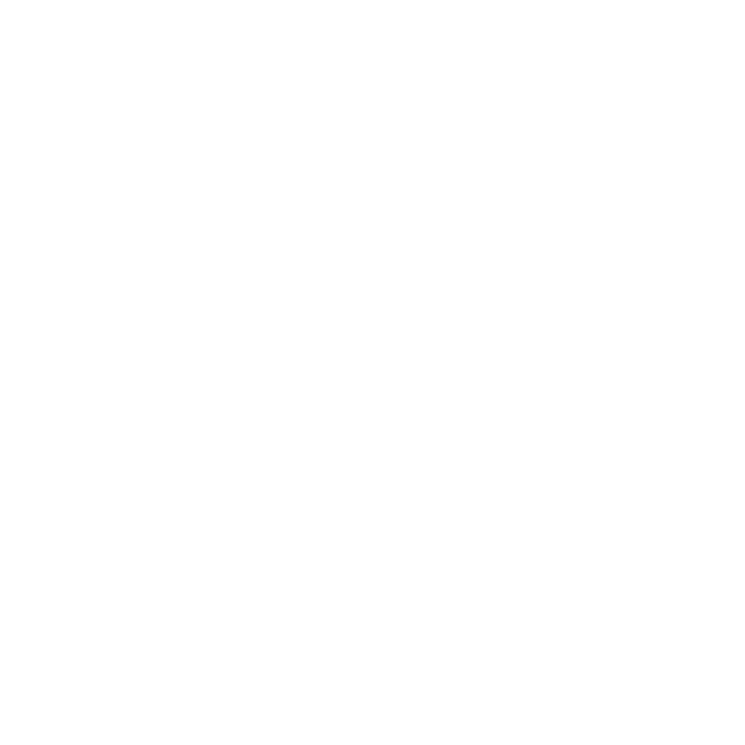 Checklist Icon White