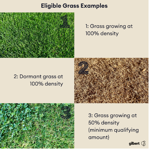 Examples of Eligible Grass