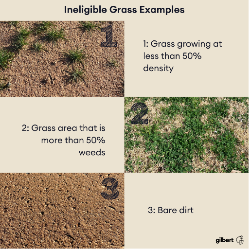 Examples of Ineligible Grass