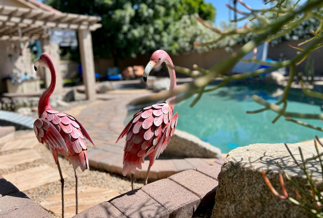 A photo of a pool in Gilbert.