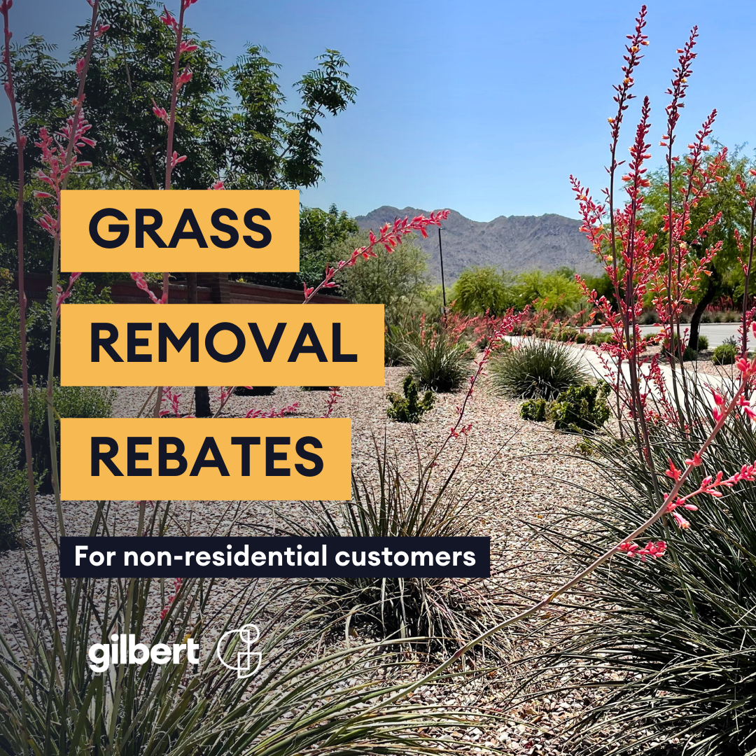 Non-Residential Rebate are Now Available