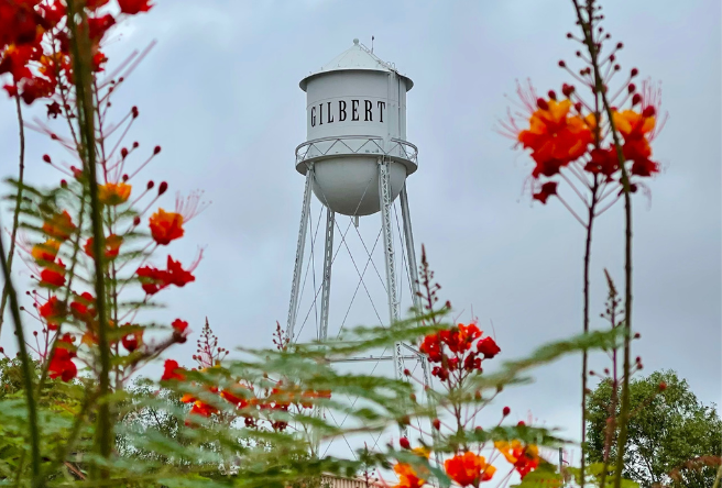 A photo of Gilbert's iconic water tower surrounded by orange flowers.