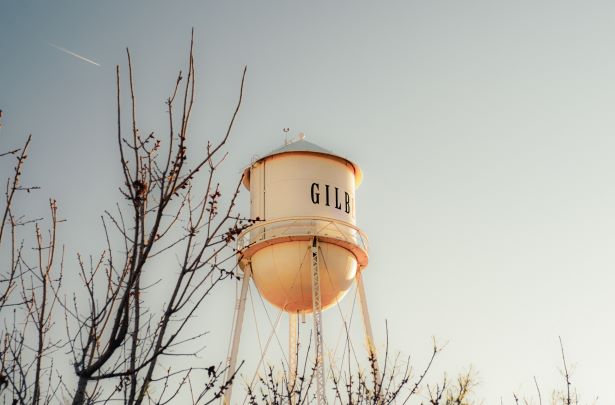 Water Tower and Tree Small