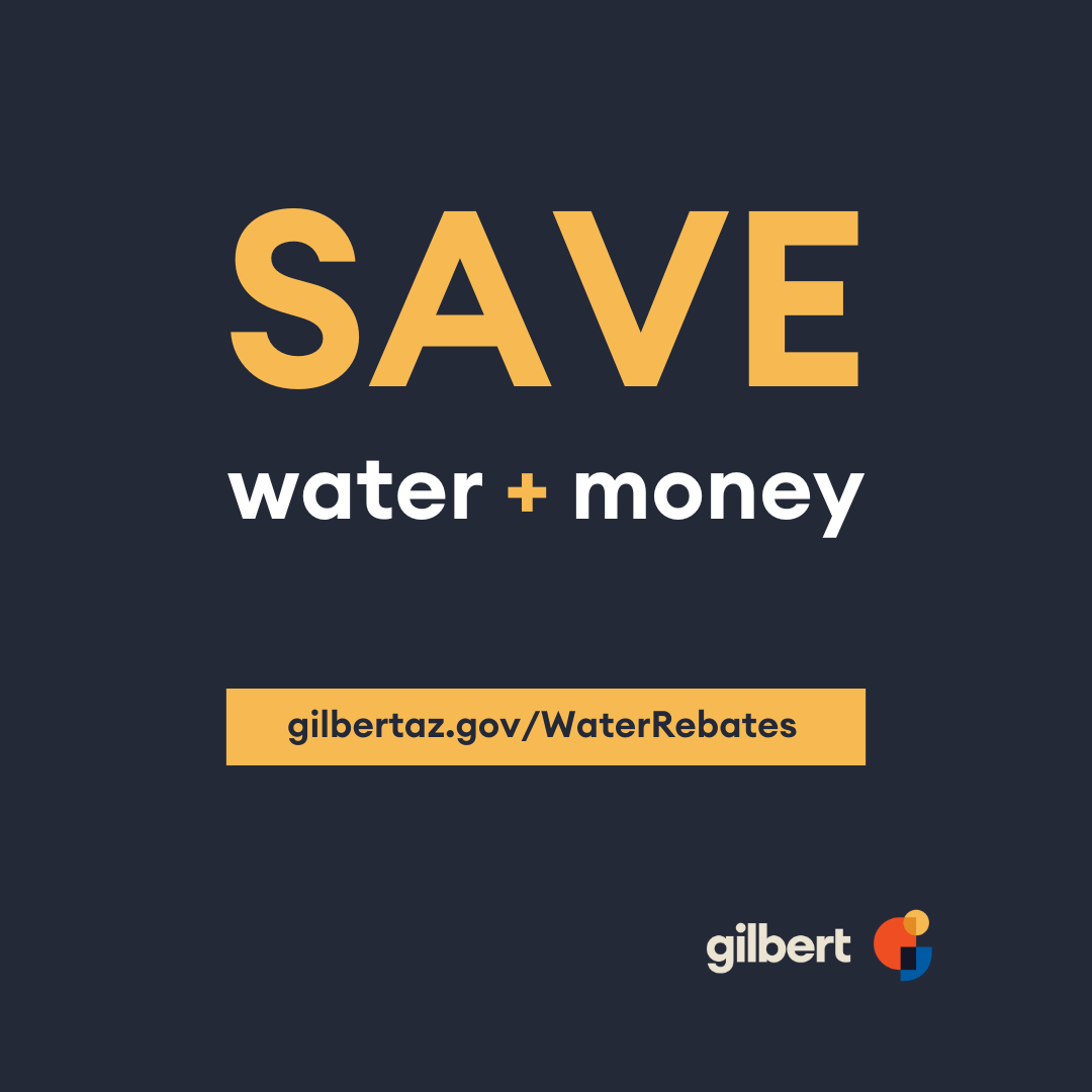 Save water and money with Gilbert's water conservation rebates.