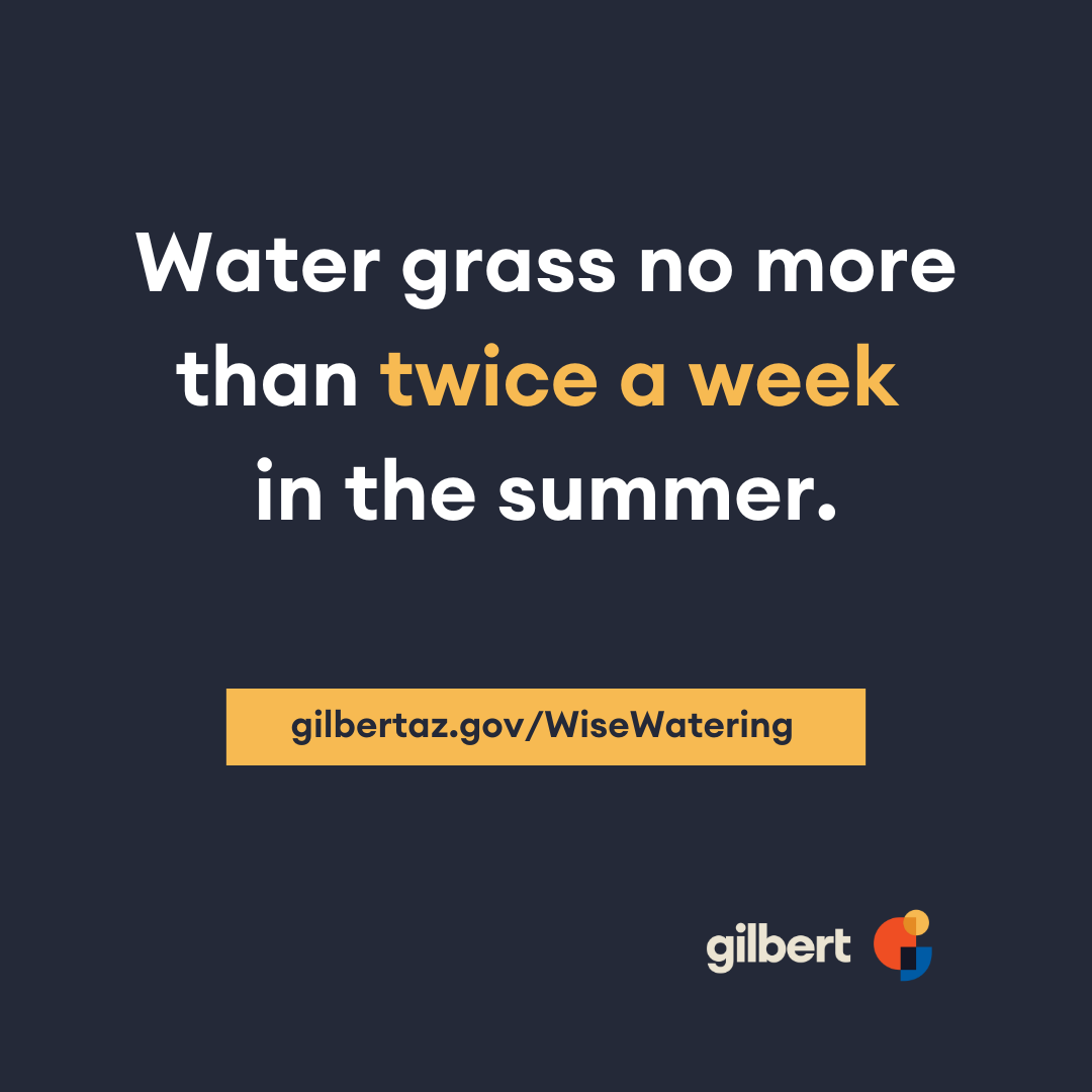 Water grass no more than twice a week in the summer.