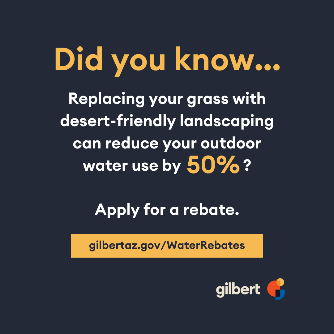 Did you know... replacing grass with desert-friendly landscaping can reduce your outdoor water use by 50%. Apply for a rebate at gilbertaz.gov/waterrebates.