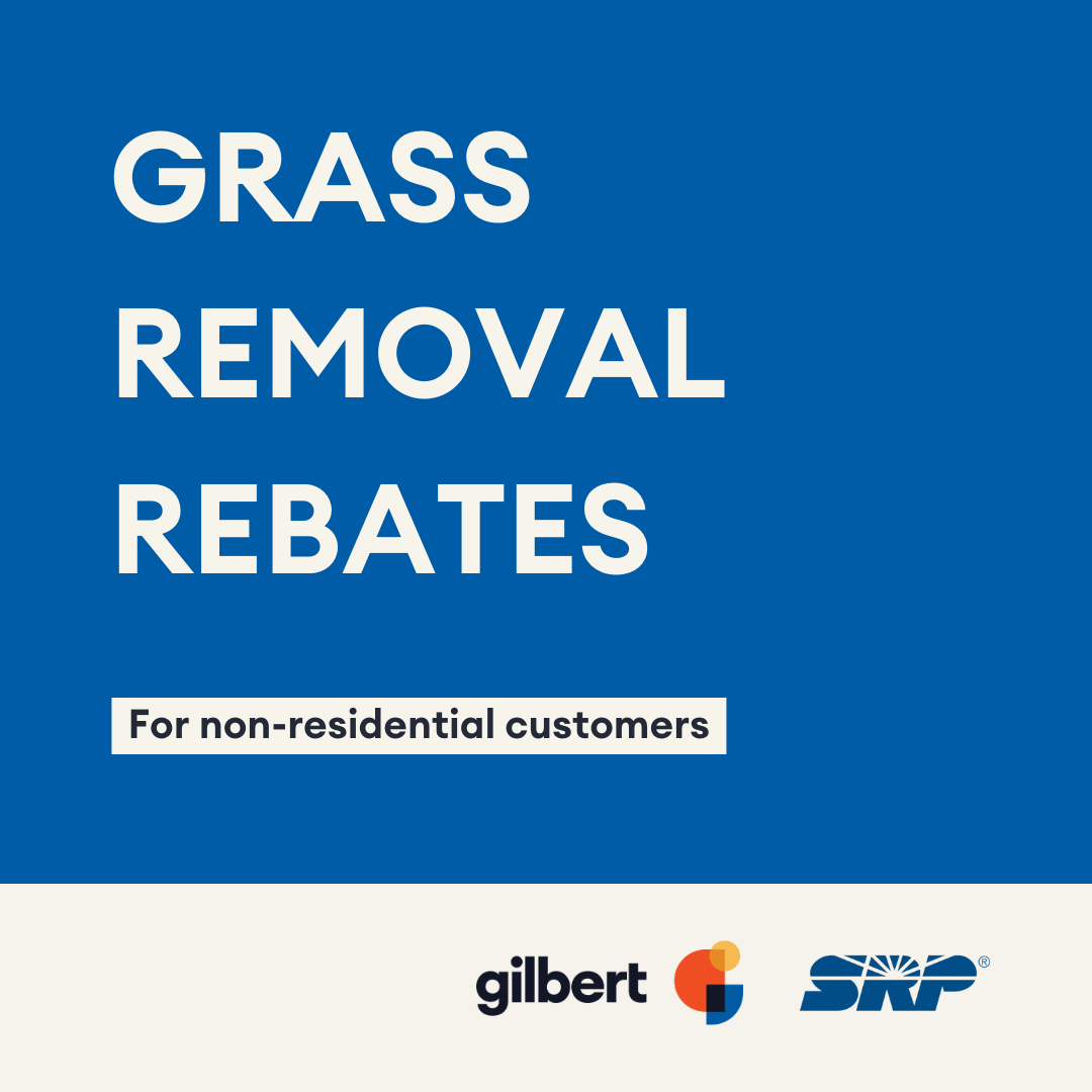 Non-Residential Rebate Program 