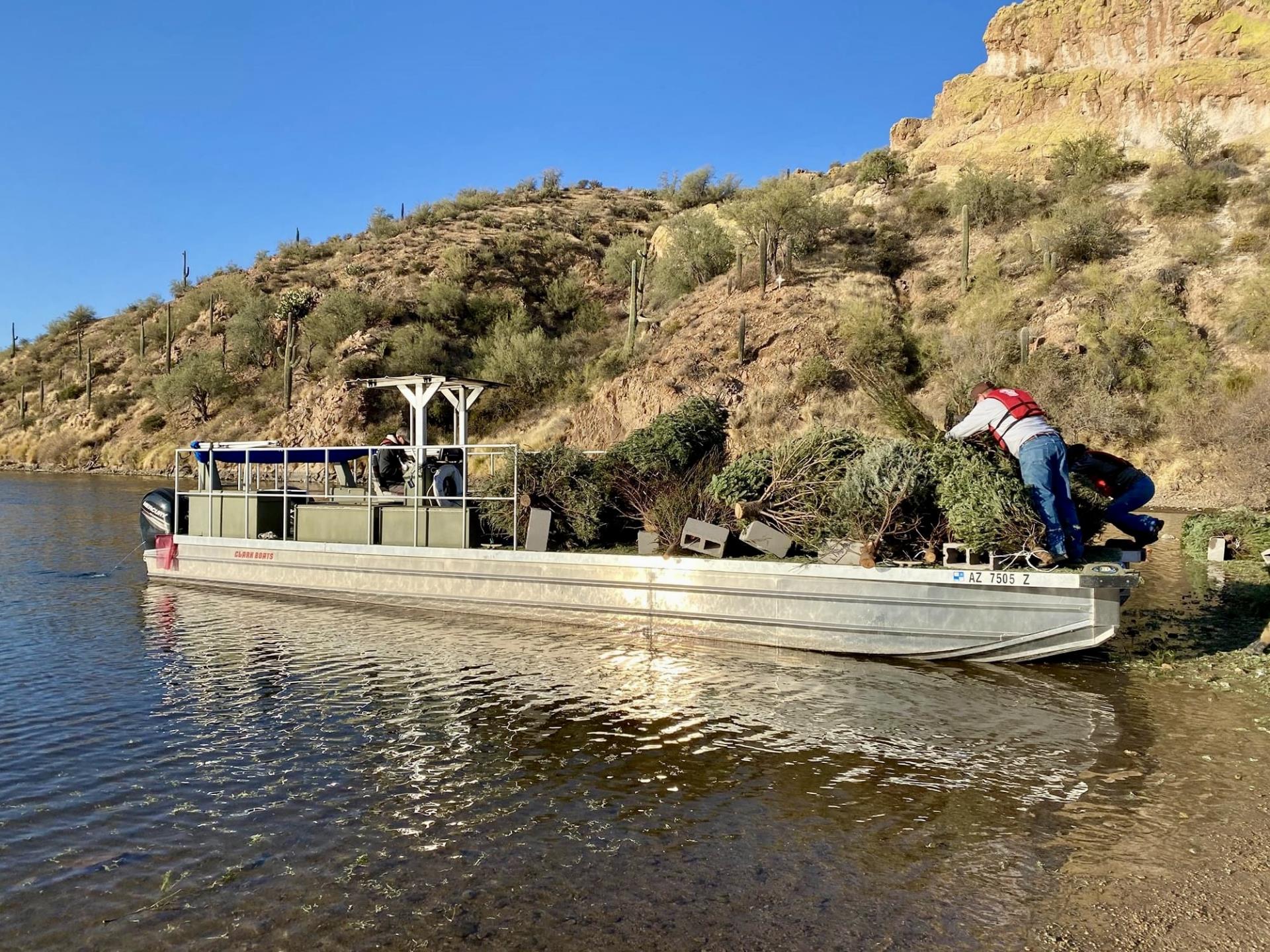 Christmas Tree Donation - AZ Game and Fish 