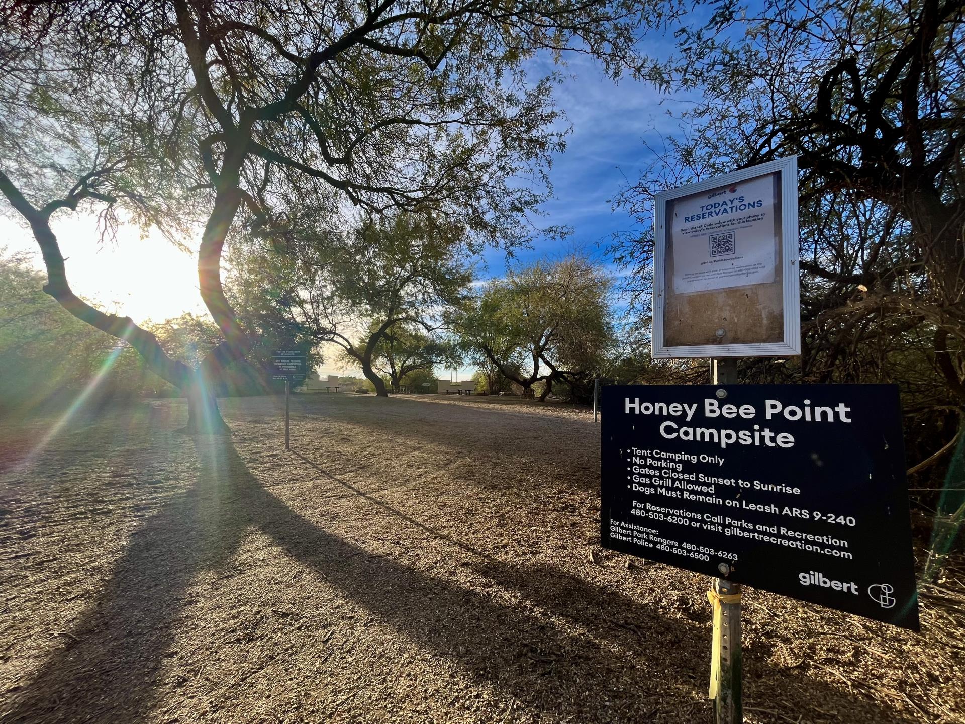 A desert campground at the Riparian Preserve