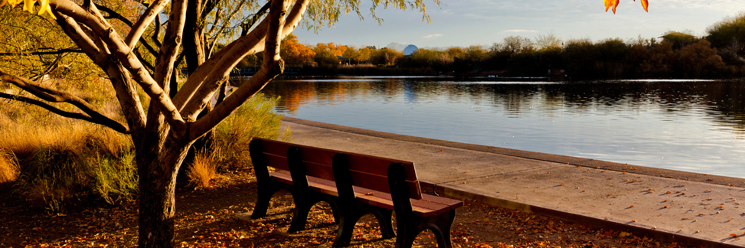 A bench next to a lake in the fall