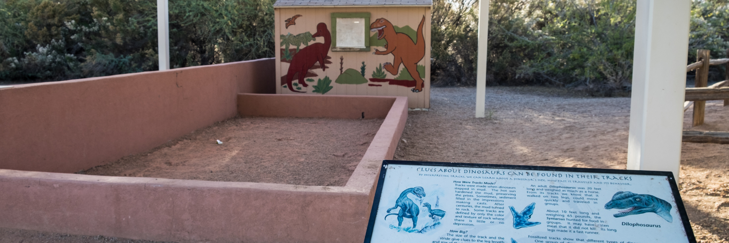 The dino dig at the Riparian Preserve