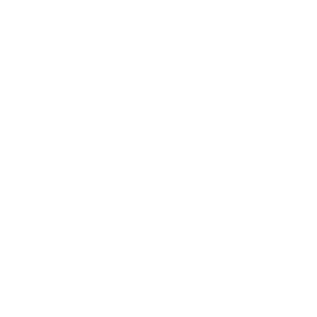 Baseball bat icon