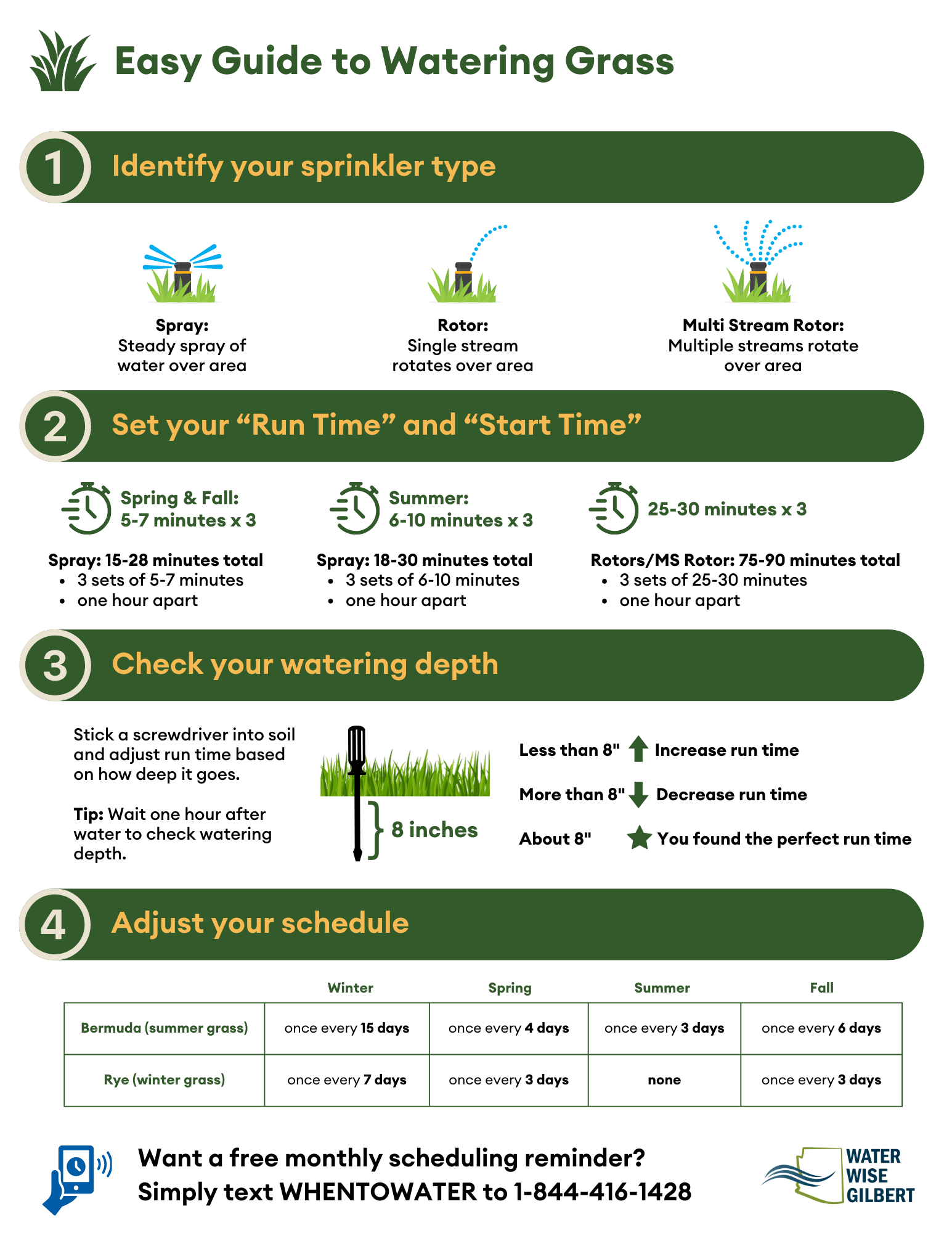 Easy Guide to Watering Grass