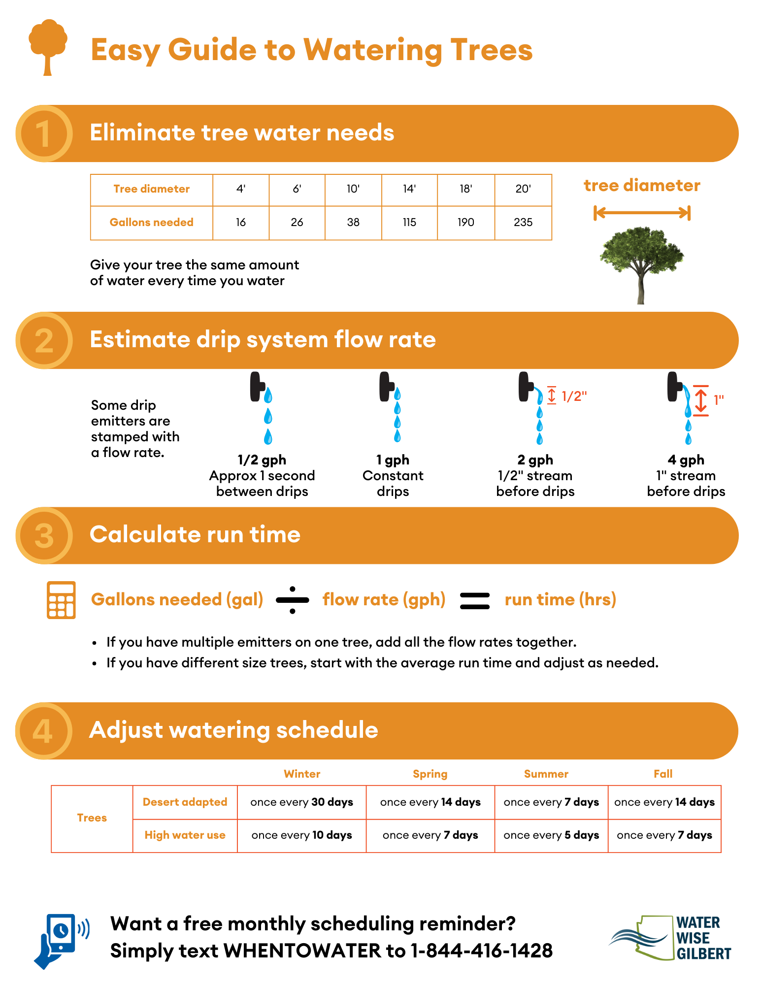 Easy Guide to Watering Trees