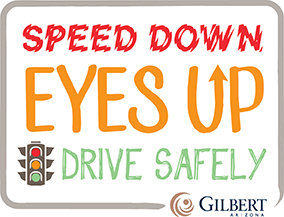 Safe Driving Logo